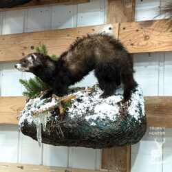 Хорек на декоративной подставке