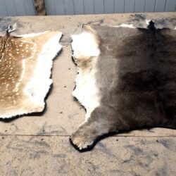 два ковра из шкуры лани в летнем и зимнем окрасе